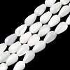 Natural White Shell Beads Strands SH-CBAF49A-03-1