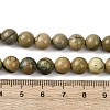 Natural Green Dragon Veins Beads Strands G-D098-A01-8mm-5