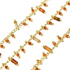 Handmade Brass Column Link Chains CHC-L053-12G-04-1