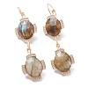 Natural Labradorite Leverback Earrings EJEW-I247-02D-1