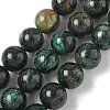 Natural Fuchsite Beads Strands G-G271-B03-10mm-2