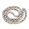 Electroplated Glass Beads Strands EGLA-N006-074B-2