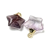 Natural Amethyst Pendants G-P540-01G-10-2