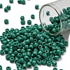 TOHO 6/0 Round Beads SEED-XTR06-0055D-1