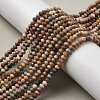 Natural Alashan Agate Beads Strands X-G-C127-B01-01-2