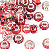 30Pcs Printed Transparent Resin European Beads RESI-TADJ0001-03G-2