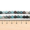 Natural Chrysocolla Beads Strands G-K405-B01-6mm-6