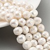 Natural Cultured Freshwater Pearl Beads Strands PEAR-C003-20B-2