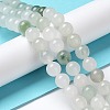Natural Tianshan Cui Quartzite Beads Strands G-B046-01C-2