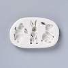 Food Grade Bunny Silicone Molds DIY-I012-32-3