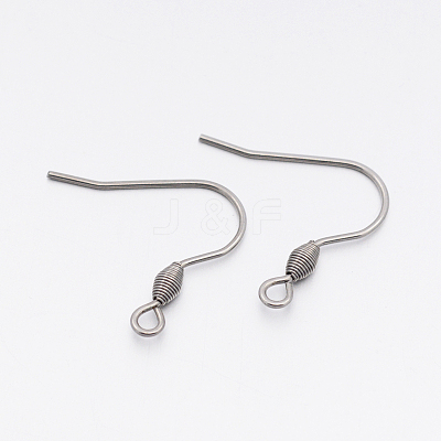 Tarnish Resistant 304 Stainless Steel Earring Hooks STAS-E074-42-1