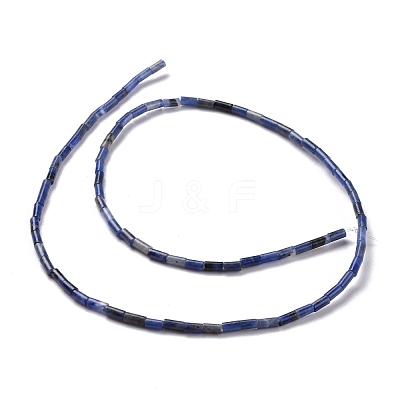 Natural Sodalite Beads Strands G-M389-11-1