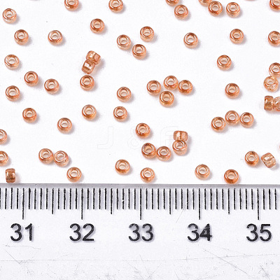 Glass Seed Beads SEED-S042-11A-03-1