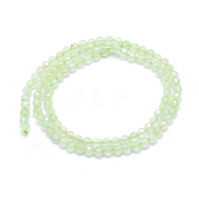 Natural Prehnite Beads Strands G-E411-25-2mm-1