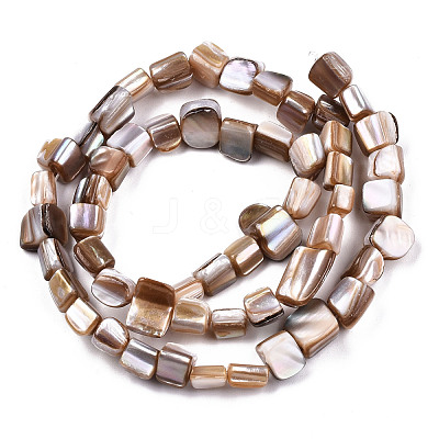 Natural Freshwater Shell Beads Strands X-SHEL-N026-124-1