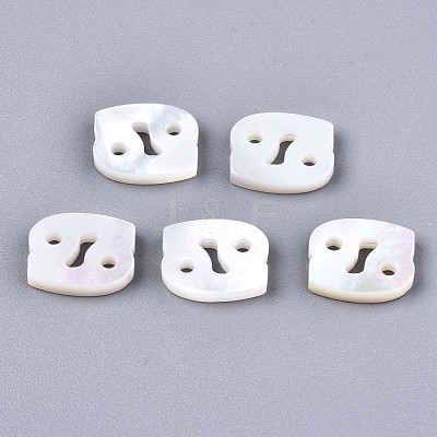Natural White Shell Beads SSHEL-ZX004-02D-1