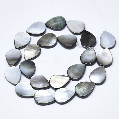Natural Black Lip Shell Beads SSHEL-N036-036-1