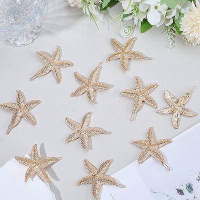 10Pcs Zinc Alloy Hair Barrettes PHAR-SP0001-25-1