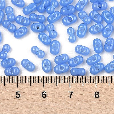 Baking Paint Glass Seed Beads SEED-L011-09A-05-1