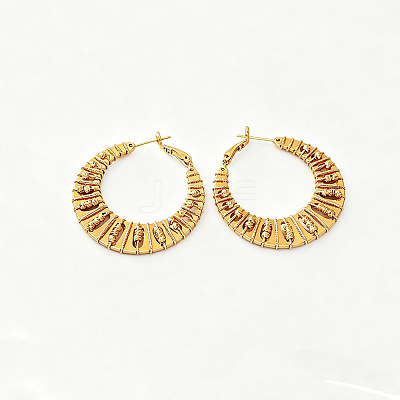 Brass Hoop Earrings for Women WG4C465-01-1