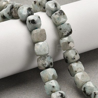 Natural Sesame Jasper Beads Strands G-H078-C24-01-1