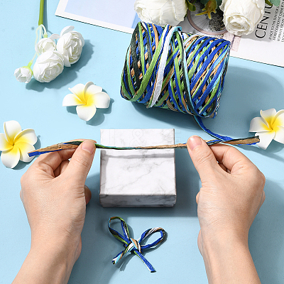 Segment Dyed Raffia Paper Cords for DIY Craft OCOR-WH20020-27B-1