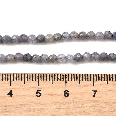 Natural Tanzanite Beads Strands LS-G-S387-A01-3mm-1