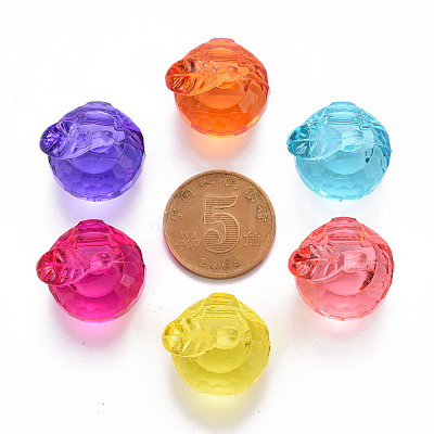 Transparent Acrylic Pendants TACR-T024-05B-1