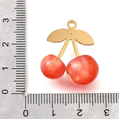 304 Stainless Steel Acrylic Pendants X1-STAS-E549-01G-01-1