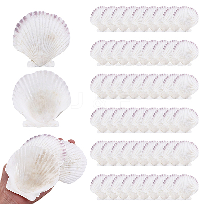 60Pcs Natural Shell Jewelry Decorative Plate AJEW-GA0009-64C-1