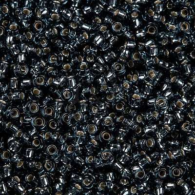 MIYUKI Round Rocailles Beads SEED-X0056-RR2426-1