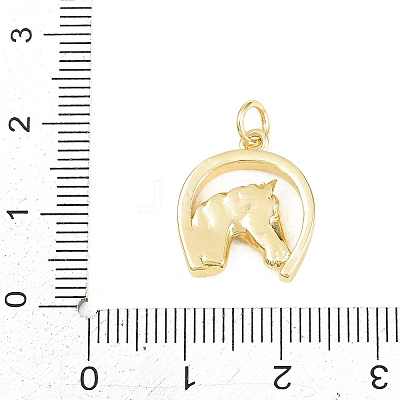 Brass Pendants KK-D258-29G-1