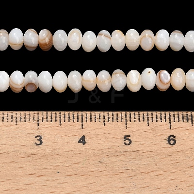 Natural Freshwater Shell Beads Strands SHEL-C010-04B-01-1