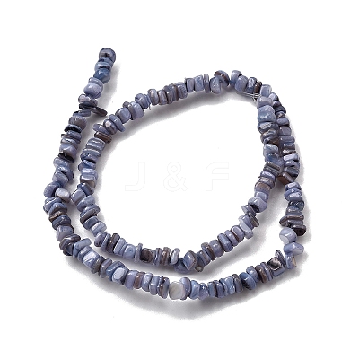 Natural Freshwater Shell Beads SHEL-B003-01G-1