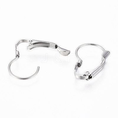 Tarnish Resistant 304 Stainless Steel Leverback Earring Findings STAS-G161-20B-1