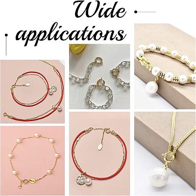 30Pcs 304 Stainless Steel Spring Ring Clasps STAS-UN0028-99-1
