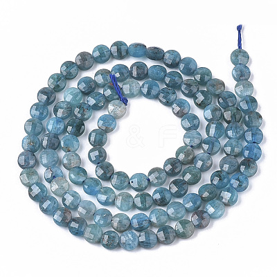 Natural Apatite Beads Strands G-S362-011-1