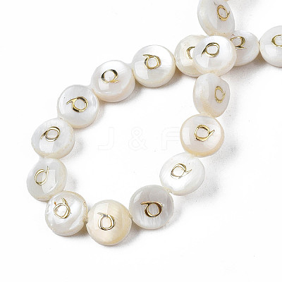 Natural Freshwater Shell Beads SHEL-S276-168Q-1