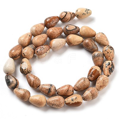Natural Picture Jasper Beads Strands G-B106-A18-02-1
