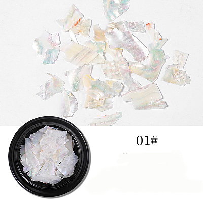 Abalone Shell/Paua ShellChips MRMJ-Q034-012A-1