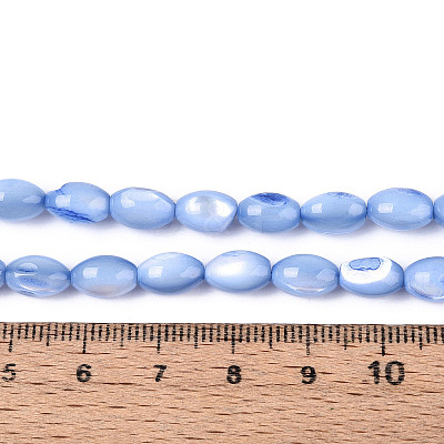 Natural Trochus Shell Beads Strands X-SHEL-K006-19-01A-1