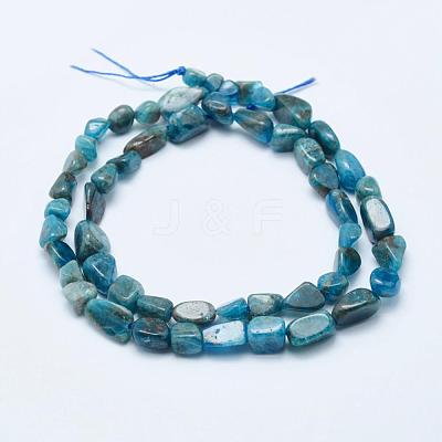Natural Apatite Beads Strands G-K203-13-1
