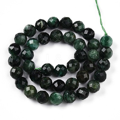 Natural Fuchsite Beads Strands G-T140-20C-1