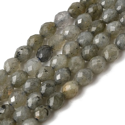 Natural Labradorite Beads Strands G-K376-F07-01-1