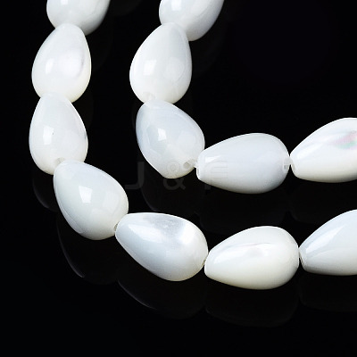 Natural Trochid Shell/Trochus Shell Beads Strands SSHEL-S266-022-1