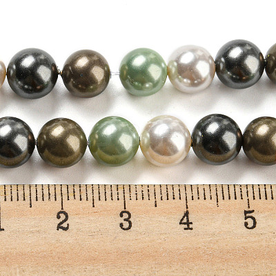 Polished Shell Pearl Bead Strands BSHE-F013-07D-1