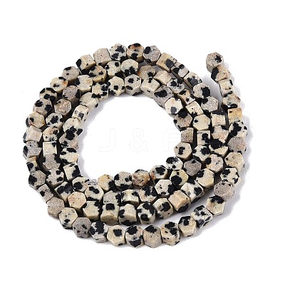 Natural Dalmatian Jasper Beads Strands GG-N002-02A-02-1