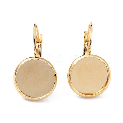 304 Stainless Steel Leverback Earring Settings X-STAS-F191-03G-10mm-1