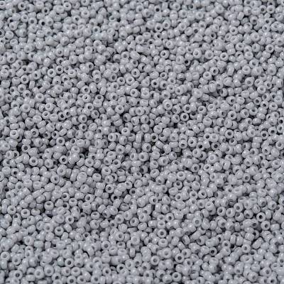 MIYUKI Round Rocailles Beads X-SEED-G009-RR0498-1
