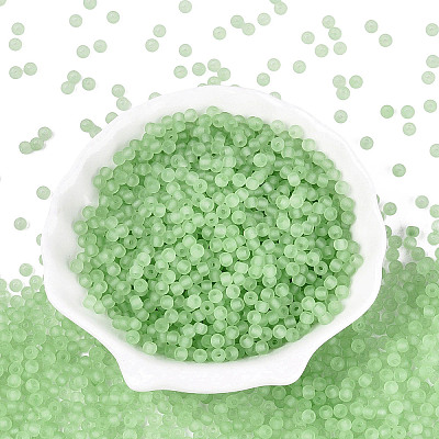 FGB Frosted Transparent Glass Seed Beads SEED-N013-02A-08-1